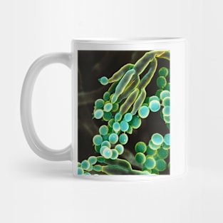 Penicillin fungus, SEM (C026/3997) Mug